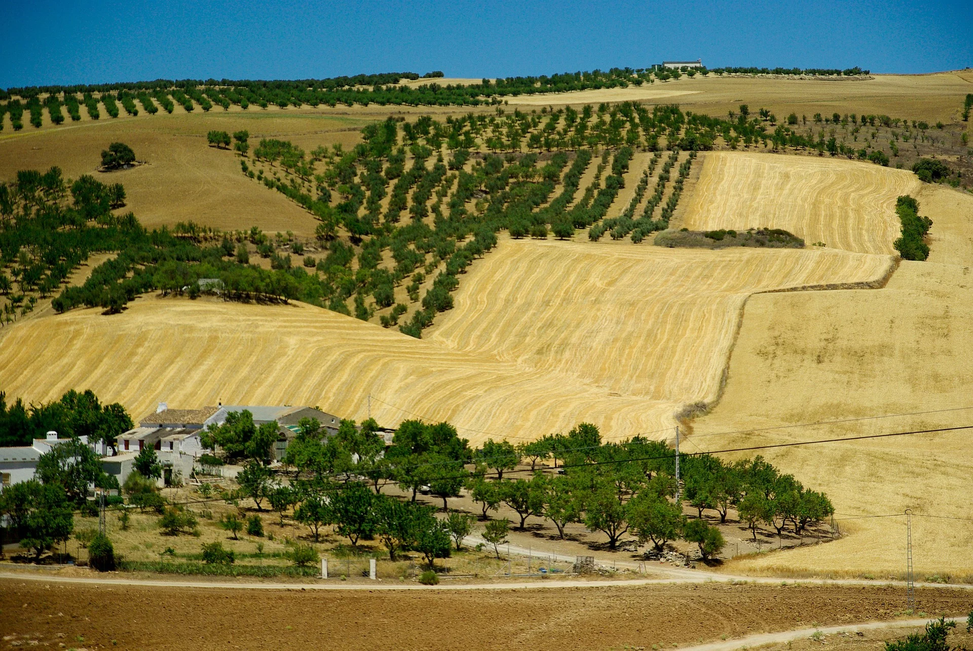 Agricultura